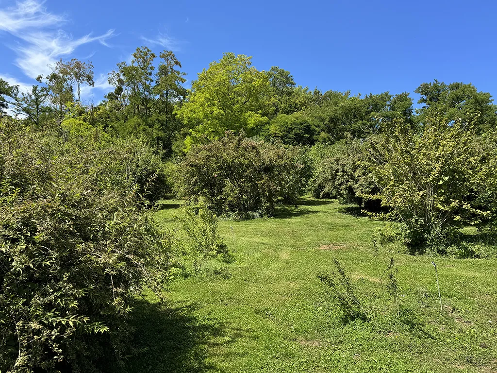 Pratteln zu verkaufen Angebautes Haus Schweiz - cChic-immoHub Ihr Immobilienportal