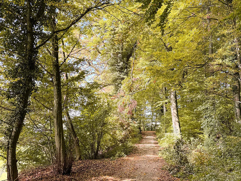 Pratteln zu verkaufen Angebautes Haus Schweiz - cChic-immoHub Ihr Immobilienportal