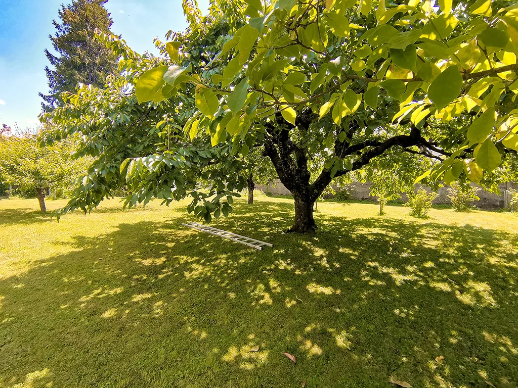 Pratteln zu verkaufen Angebautes Haus Schweiz - cChic-immoHub Ihr Immobilienportal