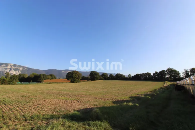 Zu verkaufen Plan-les-Ouates Einfamilienhaus Suisse - cChic-immoHub Ihr Immobilienportal