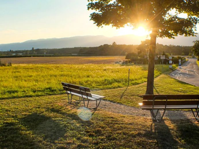 Zu verkaufen Versoix Villa Suisse - cChic-immoHub Ihr Immobilienportal