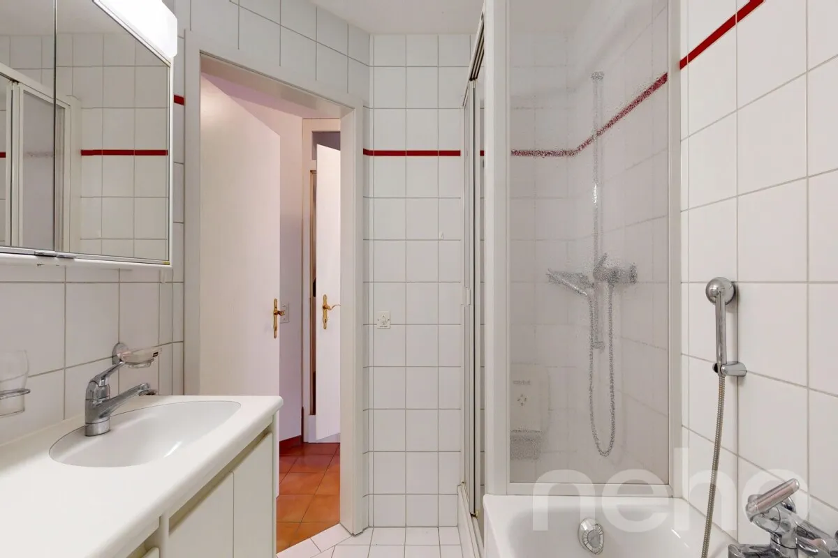 Rheinsulz for sale Attached house Switzerland - cChic-immoHub your real estate portal