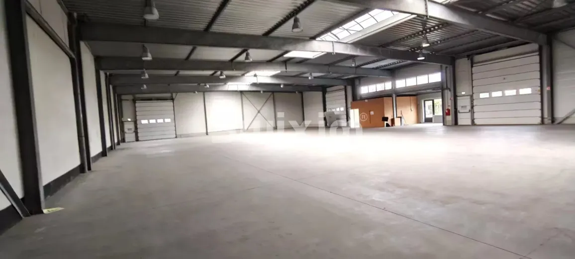 Commercial & industry for sale in Sélestat - Storage room for sale in Sélestat, 1000 m2 - Smart Propylaia (3)