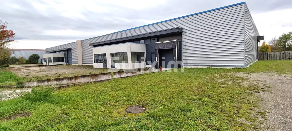Commercial & industry for sale in Sélestat - Smart Propylaia (7)