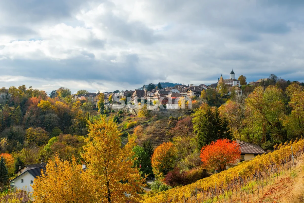 Morges zu verkaufen Wohnung Schweiz - cChic-immoHub Ihr Immobilienportal