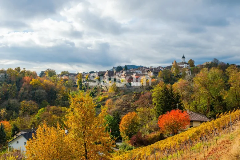 Zu verkaufen Wohnung Morges Schweiz - Schweiz - cChic-immoHub Ihr Immobilienportal
