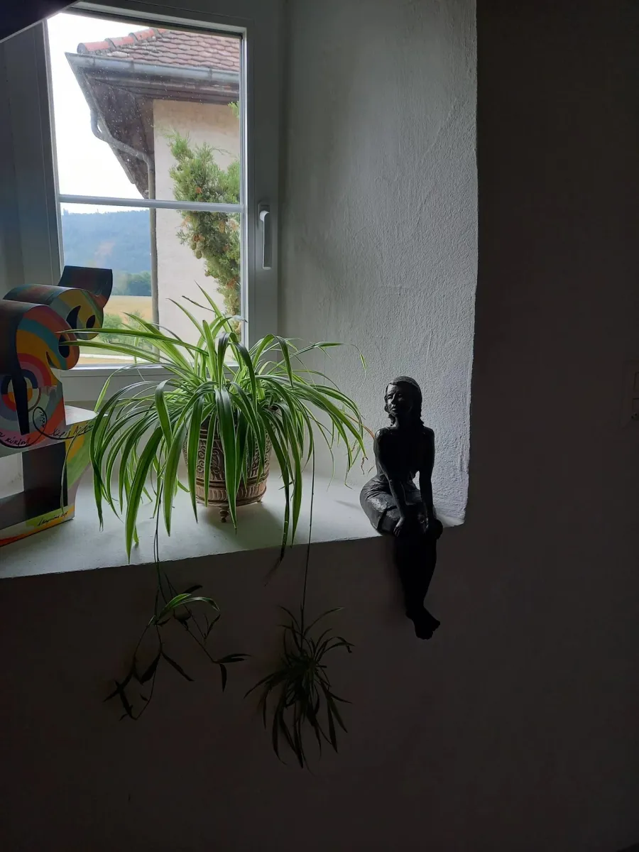 Le Landeron zu verkaufen Dorfhaus Schweiz - cChic-immoHub Ihr Immobilienportal