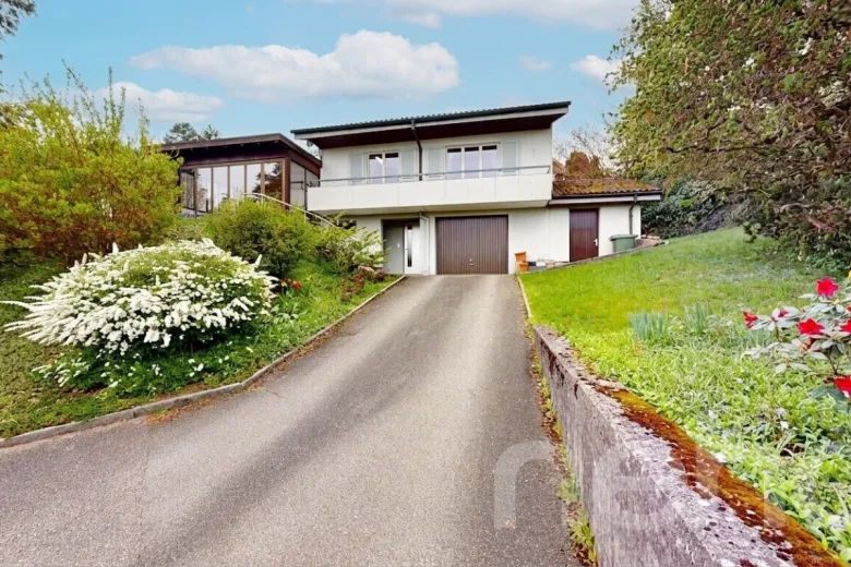 Zu verkaufen Hägendorf Einfamilienhaus Schweiz - cChic-immoHub Ihr Immobilienportal