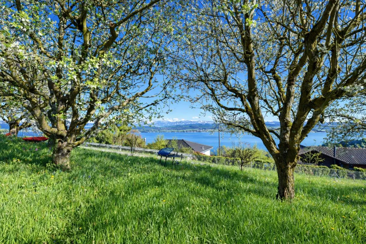 Vallamand zu verkaufen Zwillingshaus Schweiz - cChic-immoHub Ihr Immobilienportal