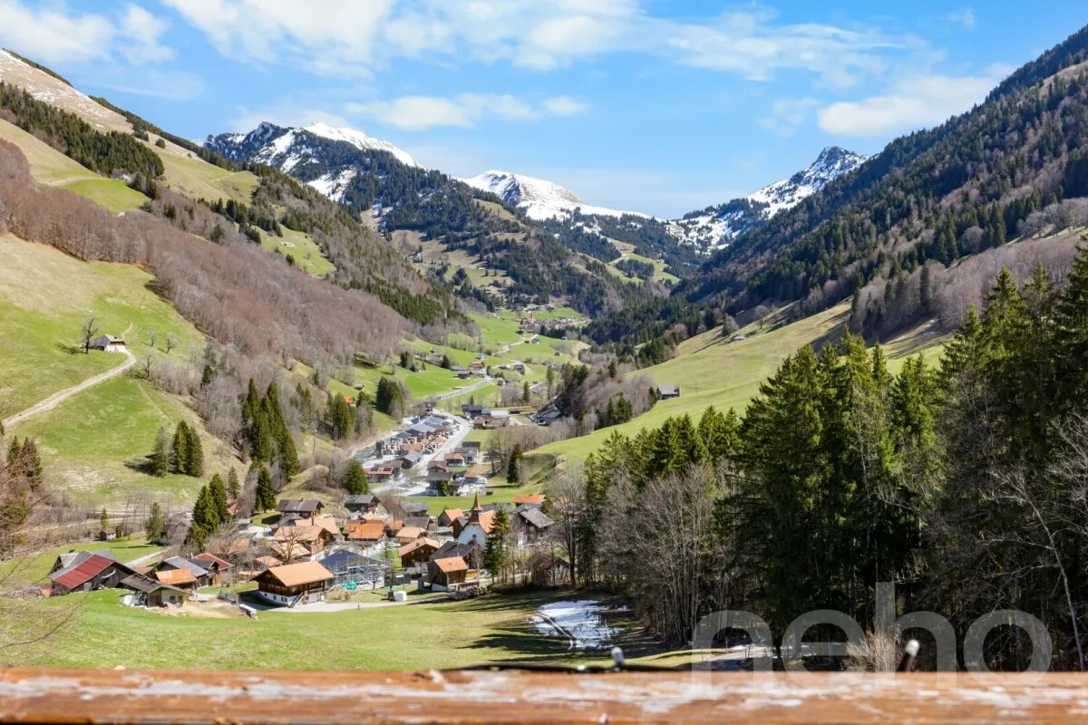 Jaun zu verkaufen Einfamilienhaus Schweiz - cChic-immoHub Ihr Immobilienportal