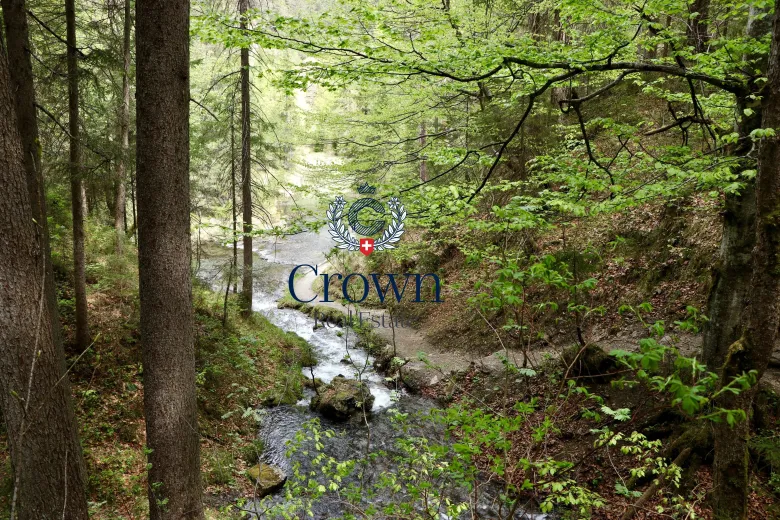 For sale Attached house Bellevue Switzerland - cChic-immoHub your real estate portal