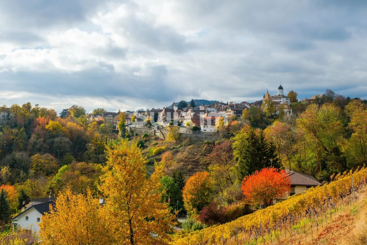 Morges zu verkaufen Wohnung Schweiz - cChic-immoHub Ihr Immobilienportal