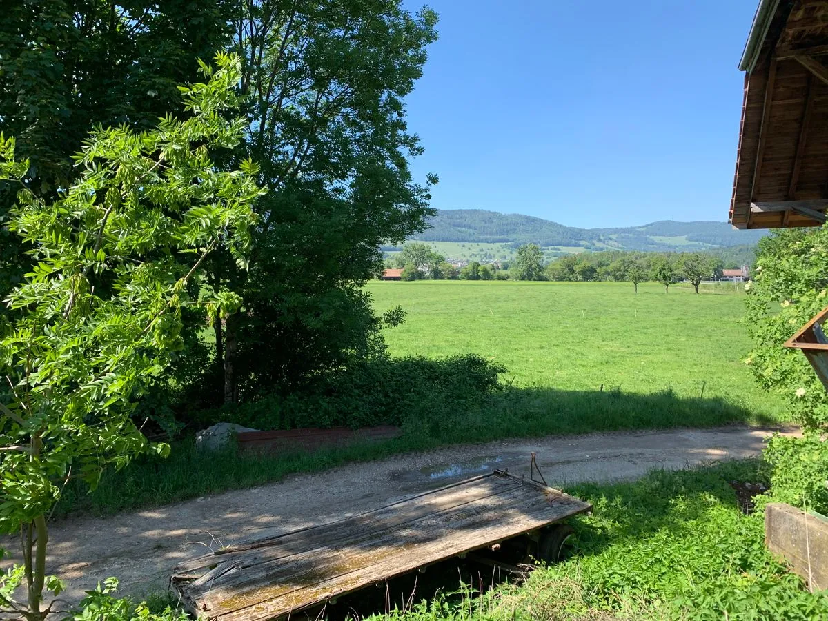 Bassecourt for sale Building plot Switzerland - cChic-immoHub your real estate portal