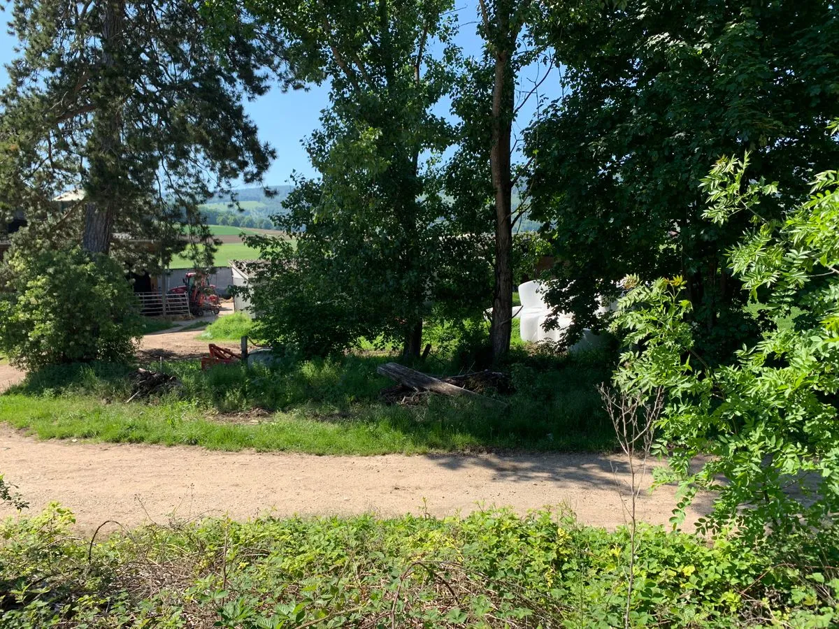Bassecourt for sale Building plot Switzerland - cChic-immoHub your real estate portal
