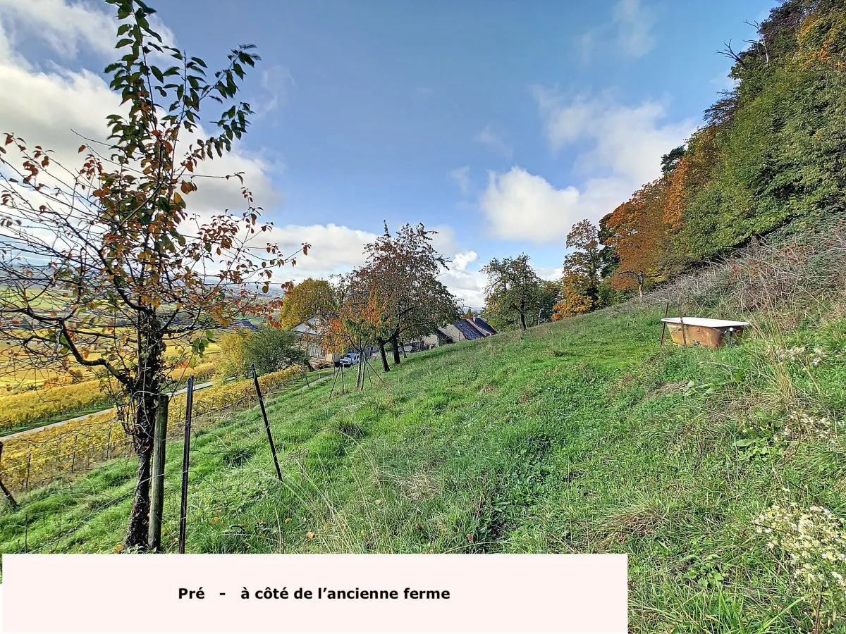 Luins à vendre Ferme Suisse - cChic-immoHub votre portail immobilier