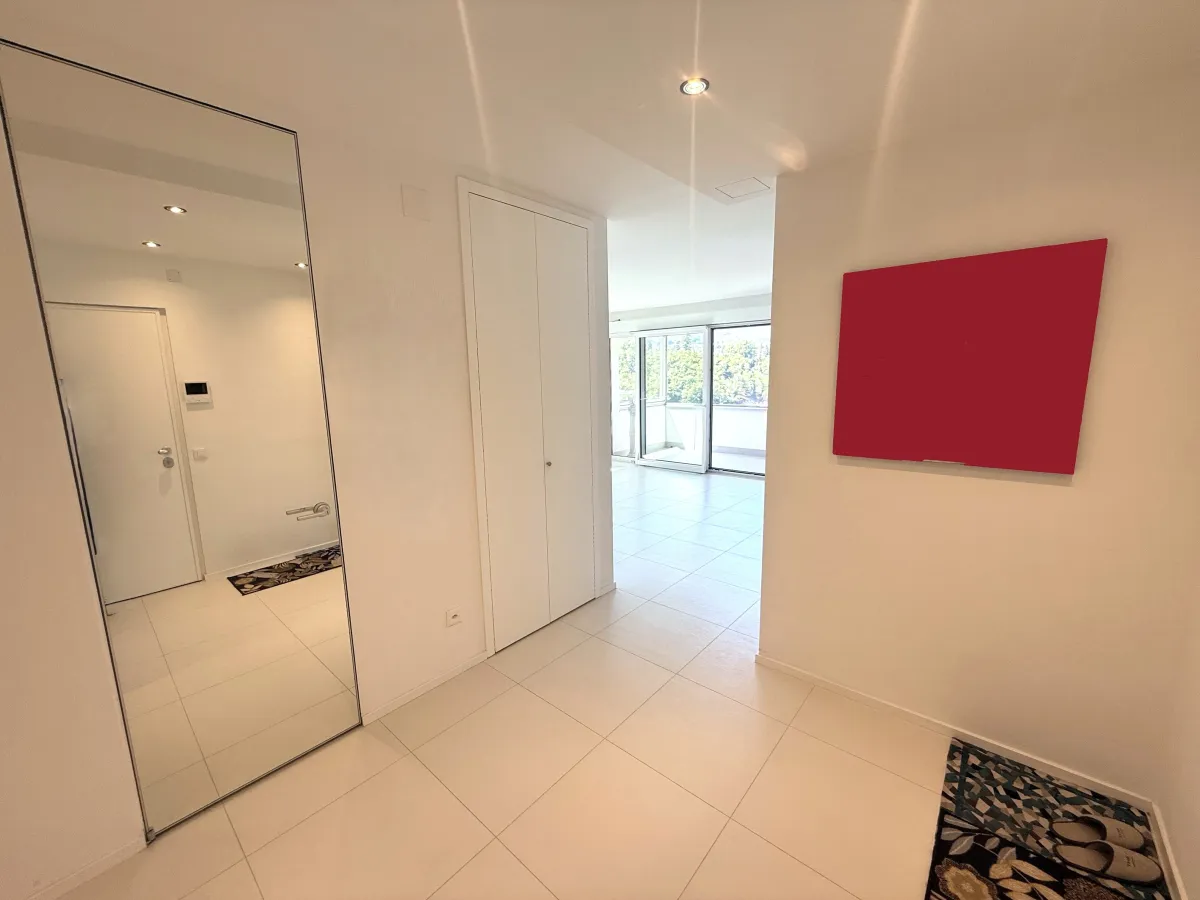 Paradiso zu verkaufen Wohnung Schweiz - cChic-immoHub Ihr Immobilienportal