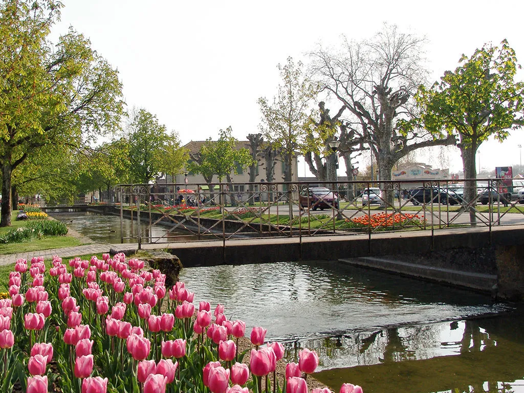 Morges zu verkaufen Duplex Schweiz - cChic-immoHub Ihr Immobilienportal