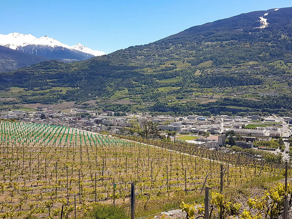 Sion à vendre Maison jumelée Suisse - cChic-immoHub votre portail immobilier