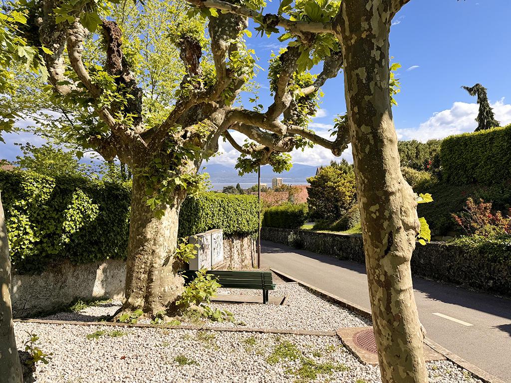 A vendre   Suisse - partenariat avec Smart-Propylaia Portail Immobilier