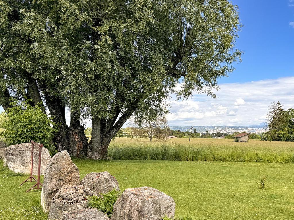 A vendre   Suisse - partenariat avec Smart-Propylaia Portail Immobilier