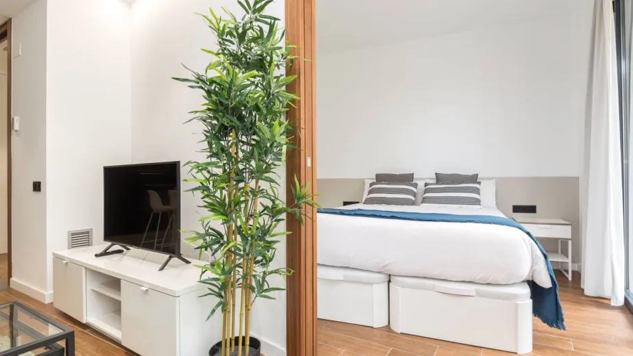 Zu mieten Wohnung Zürich Suisse - cChic-immoHub Ihr Immobilienportal