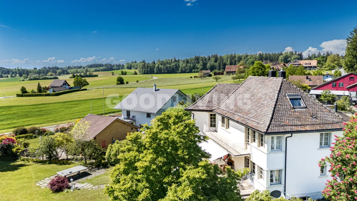 Kappel am Albis zu verkaufen Villa Schweiz - cChic-immoHub Ihr Immobilienportal