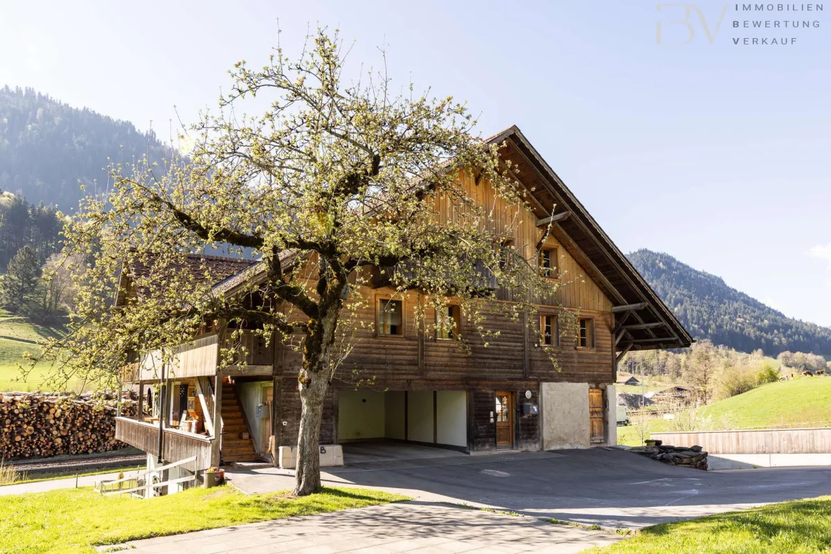 Haus zu verkaufen in Boltigen - Smart Propylaia (7)
