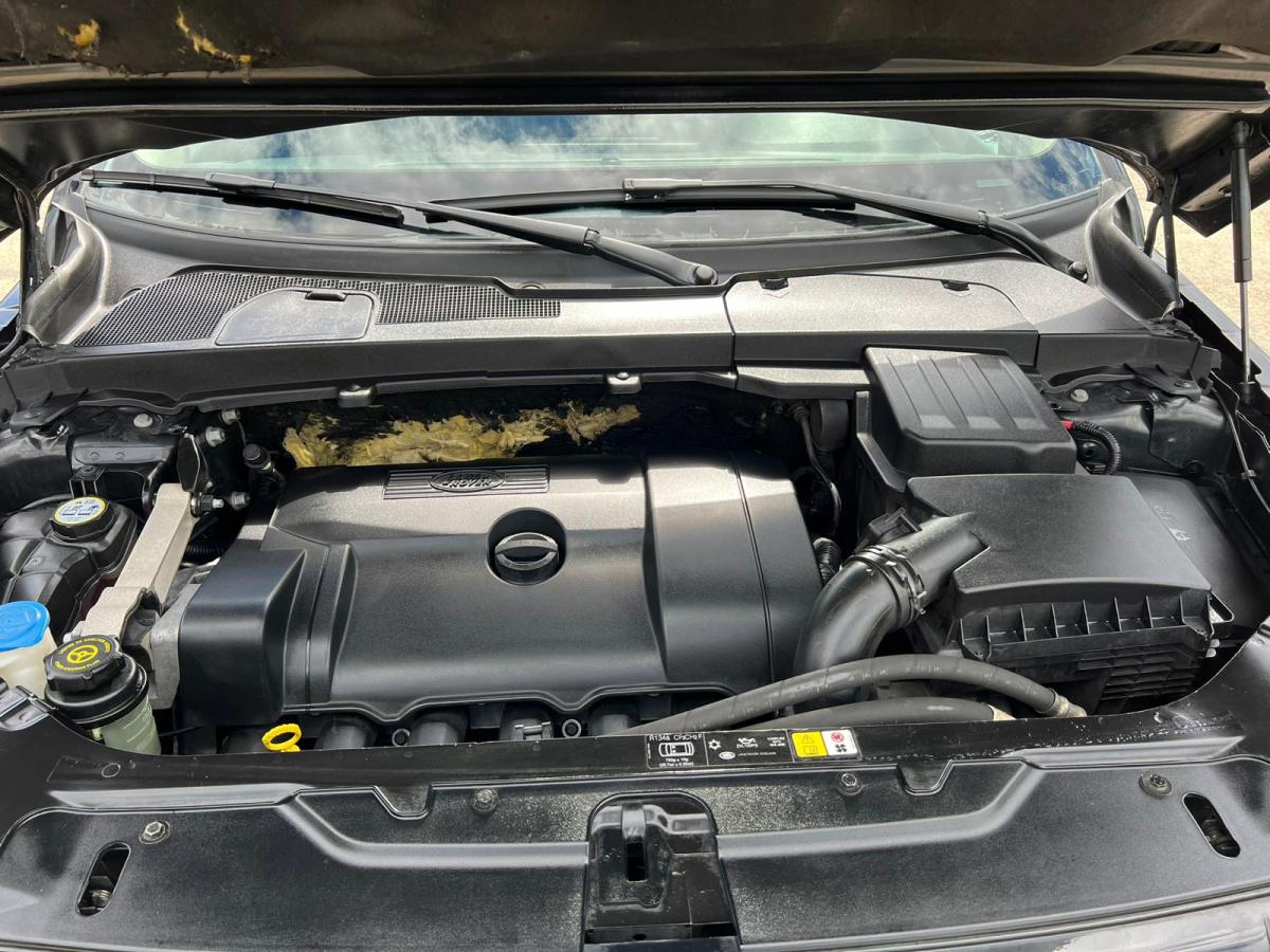 Land Rover Freelander 3.2 for sale - Land rover Freelander 3.2 Automatique - Smart Propylaia (9)
