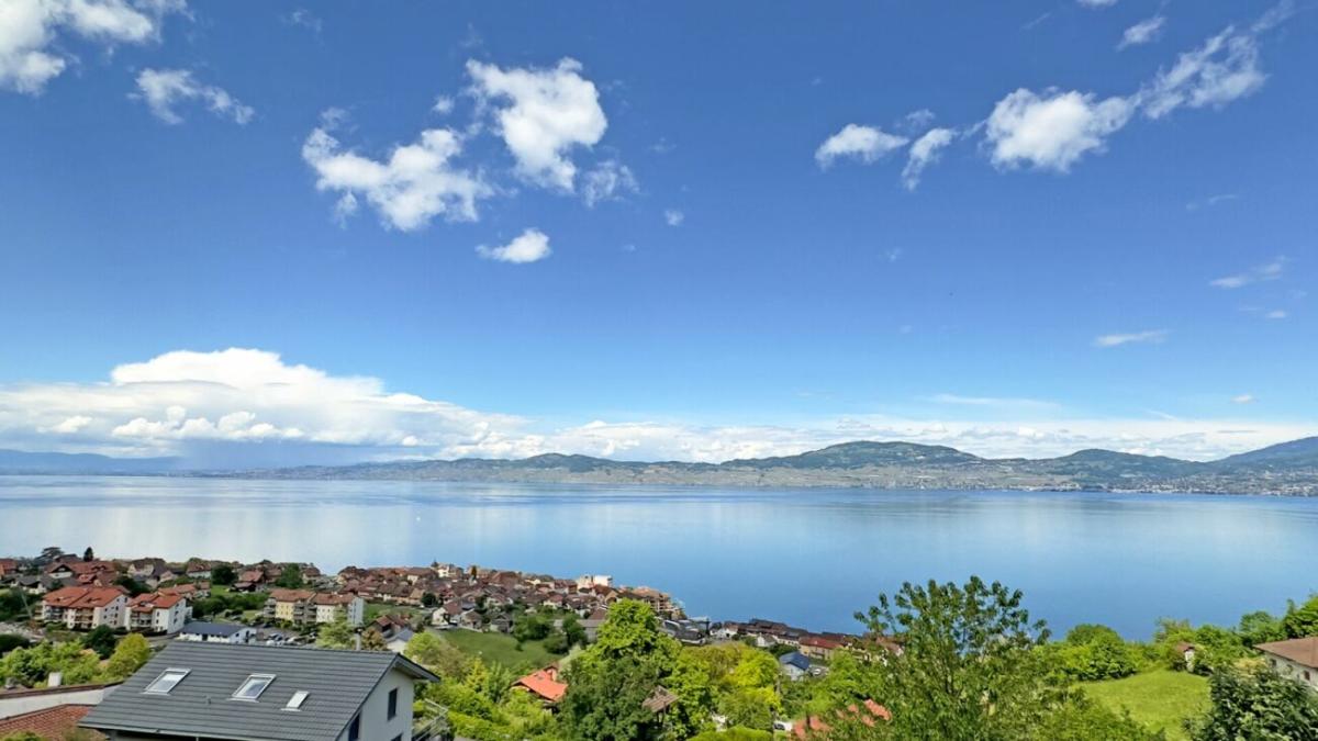 A vendre   Suisse - partenariat avec Smart-Propylaia Portail Immobilier