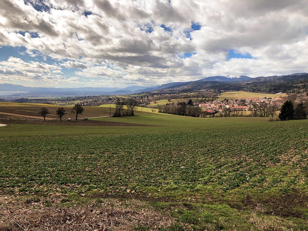 Zu verkaufen   Schweiz - cChic-immoHub Ihr Immobilienportal