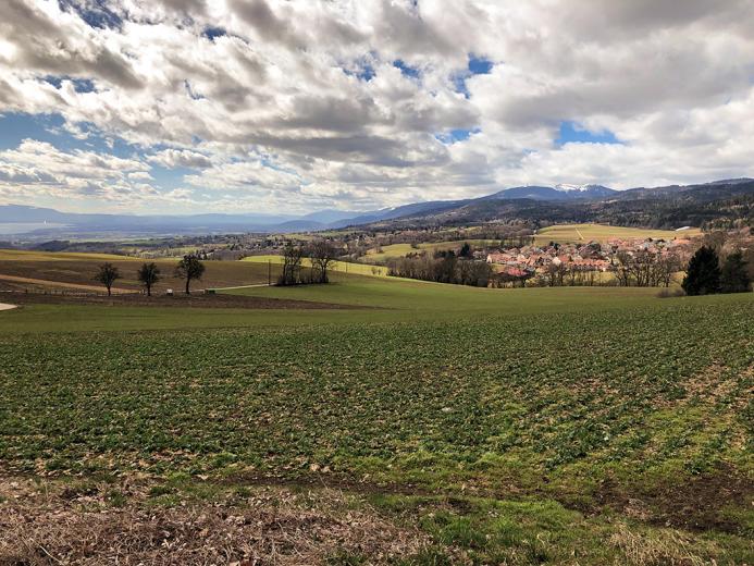 Haus zu verkaufen in Longirod - Smart Propylaia (2)