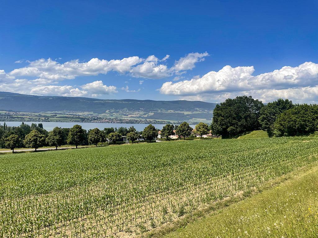 Zu verkaufen   Schweiz - cChic-immoHub Ihr Immobilienportal