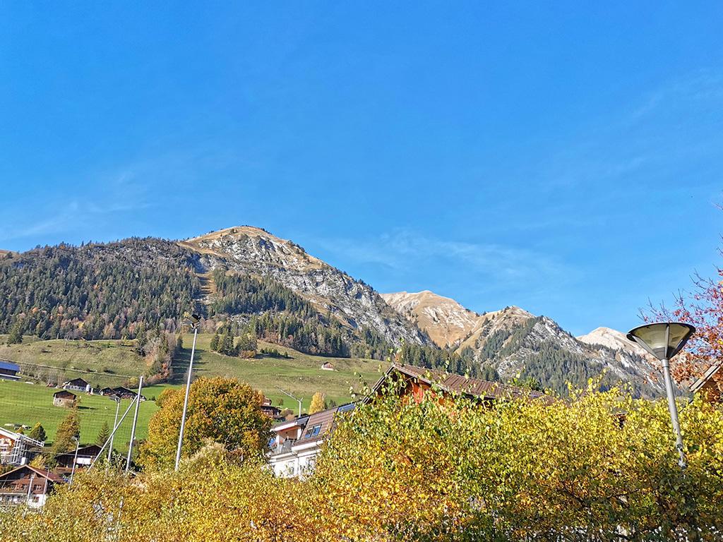 In vendita   Svizzera - collaborazione con il portale immobiliare Smart-Propylaia