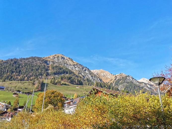 Maison à vendre à Château-d'Oex - Smart Propylaia