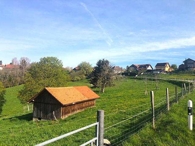 Zu verkaufen   Schweiz - cChic-immoHub Ihr Immobilienportal