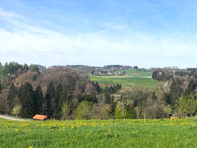 Zu verkaufen   Schweiz - cChic-immoHub Ihr Immobilienportal