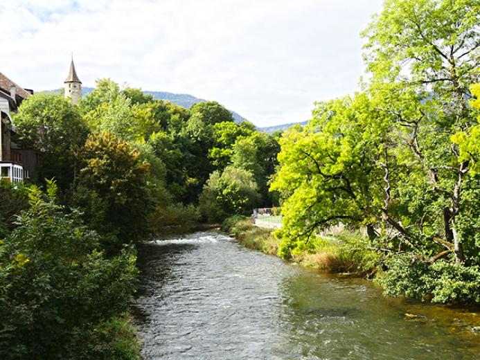 Immeuble à vendre à Boudry - Smart Propylaia (2)