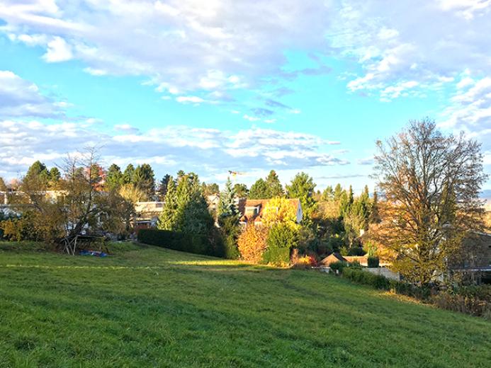 Haus zu verkaufen in Binningen - Smart Propylaia (5)