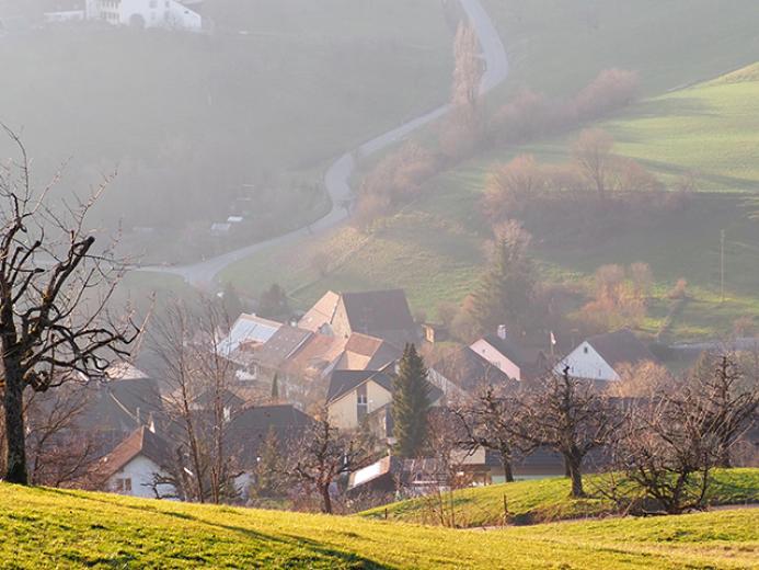 Haus zu verkaufen in Rickenbach BL - Smart Propylaia (2)