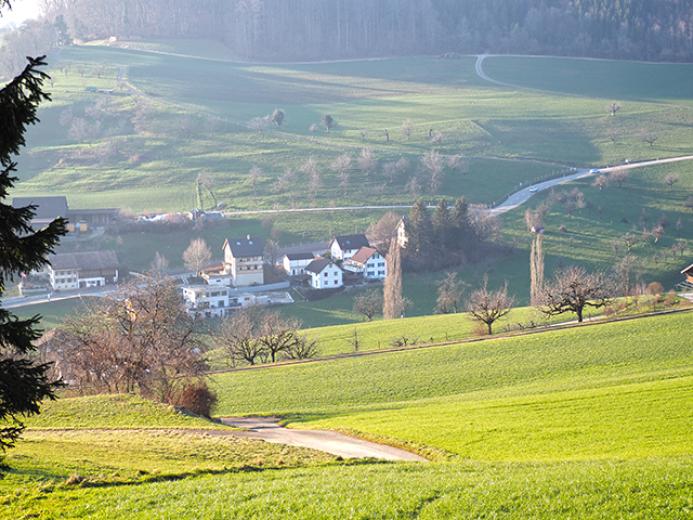 Haus zu verkaufen in Rickenbach BL - RICKENBACH - HERRLICHES EINFAMILIENHAUS - 5 ZIMMER - Smart Propylaia (3)