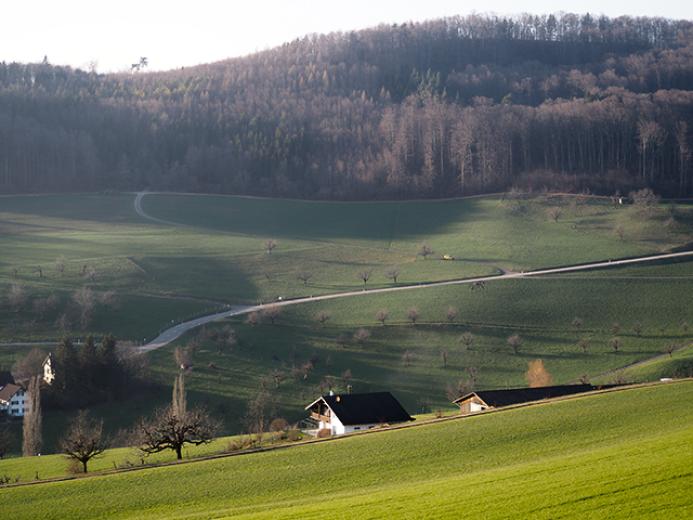 Maison à vendre à Rickenbach BL - Smart Propylaia