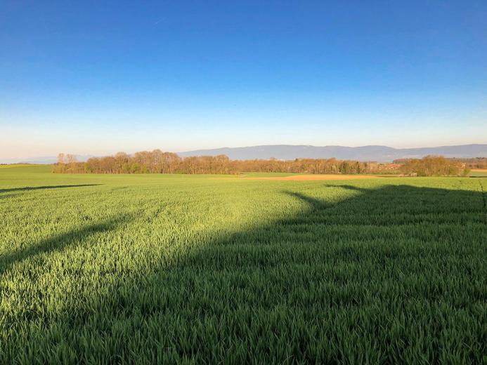Appartamento in vendita a Cheseaux-sur-Lausanne - Smart Propylaia (2)