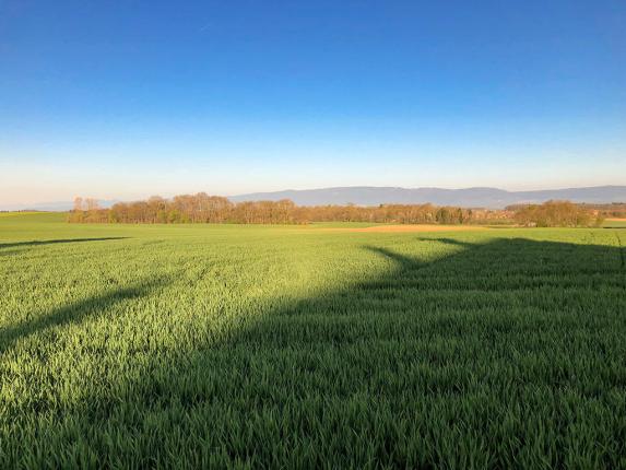 Appartamento in vendita a Cheseaux-sur-Lausanne (2)