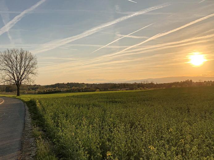 Appartamento in vendita a Cheseaux-sur-Lausanne - Smart Propylaia