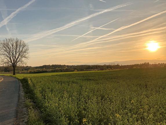 Appartamento in vendita a Cheseaux-sur-Lausanne
