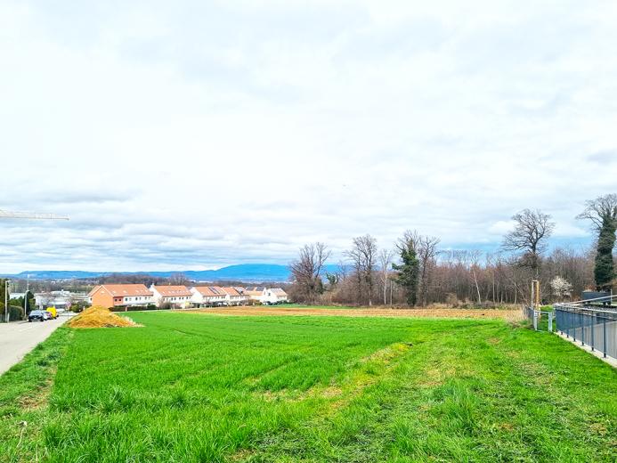 Haus zu verkaufen in Allschwil - Smart Propylaia (4)