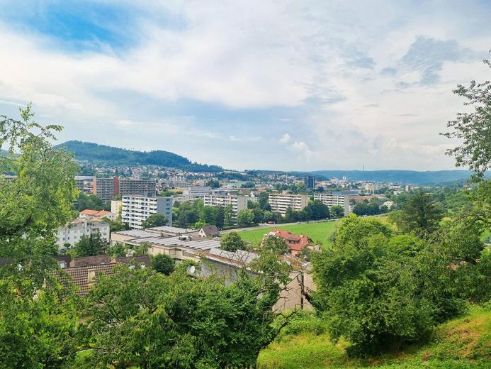 Maison à vendre à Liestal - Smart Propylaia