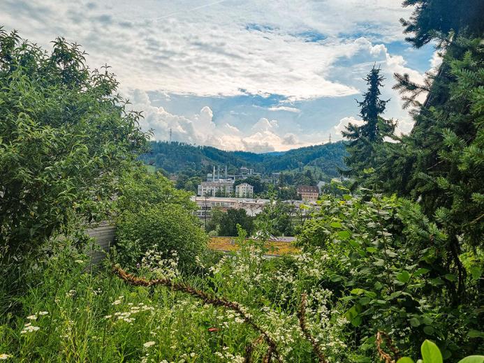 Maison à vendre à Liestal - Smart Propylaia (2)