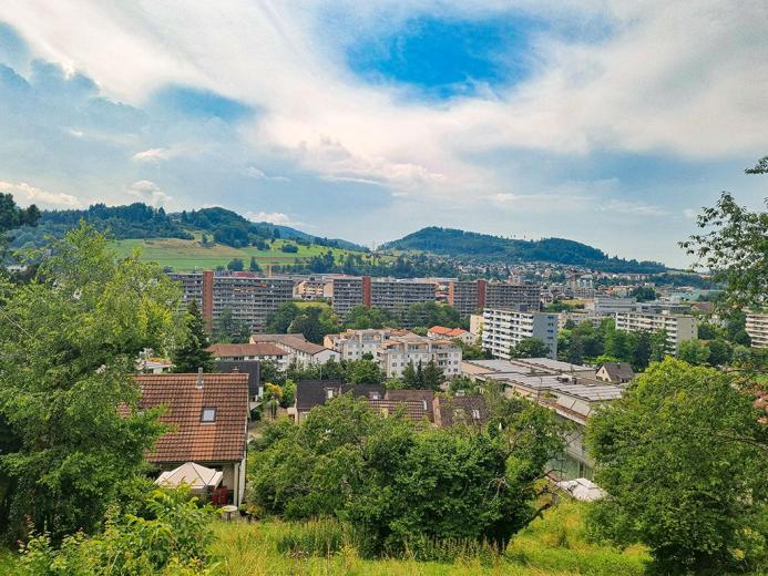 Casa in vendita a Liestal - LIESTAL SUD - VILLA CON VISTA FANTASTICA - Smart Propylaia (3)