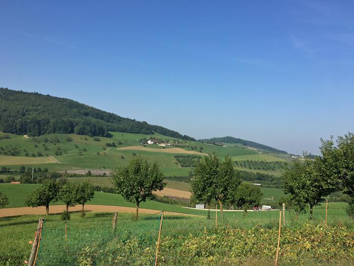 Haus zu verkaufen in Arisdorf - ARISDORF - CHARMANTES EINFAMILIENHAUS - 5 ZIMMER - Smart Propylaia (3)